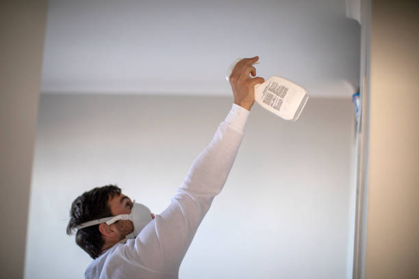 Best Mold Removal Near Me  in Oakwood, OH